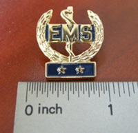 2 Star Insignia