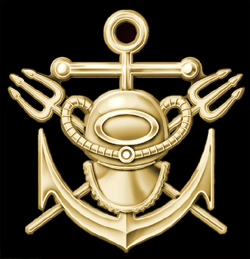 Dive Team Uniform Insignia